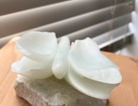 Angelique Wellerdieck