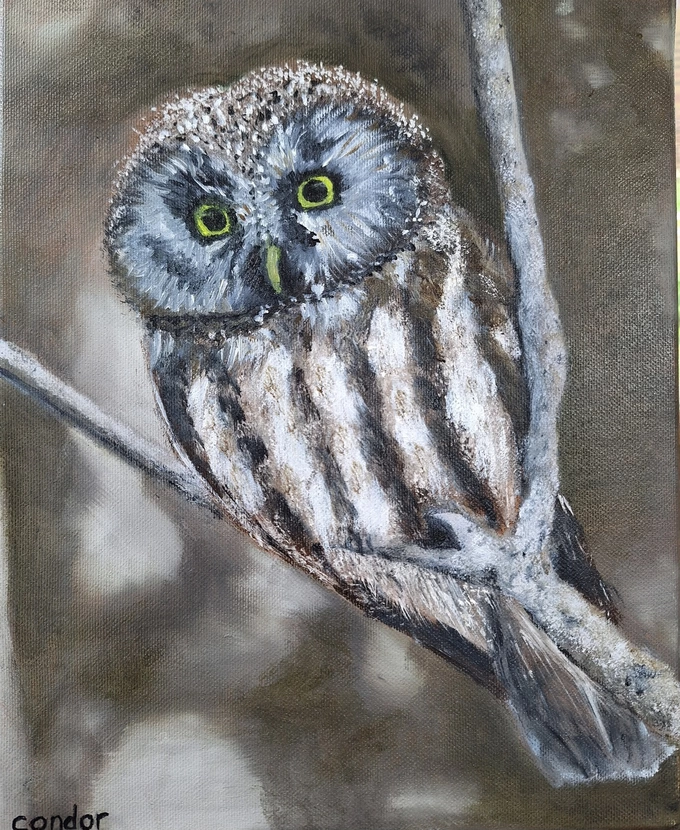 Conny Wever-van Assem 