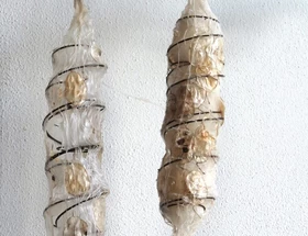 Martina Bakker-Schaafsma