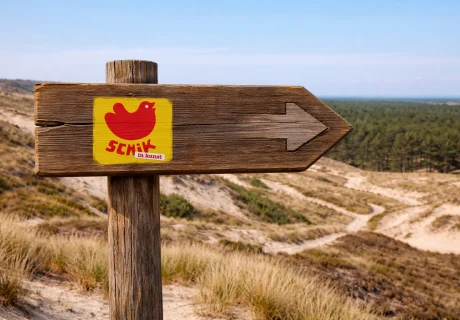 De deelnemers op routenummer