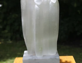 Angelique Wellerdieck