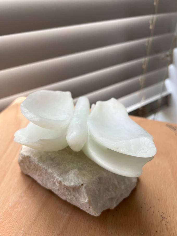 Angelique Wellerdieck