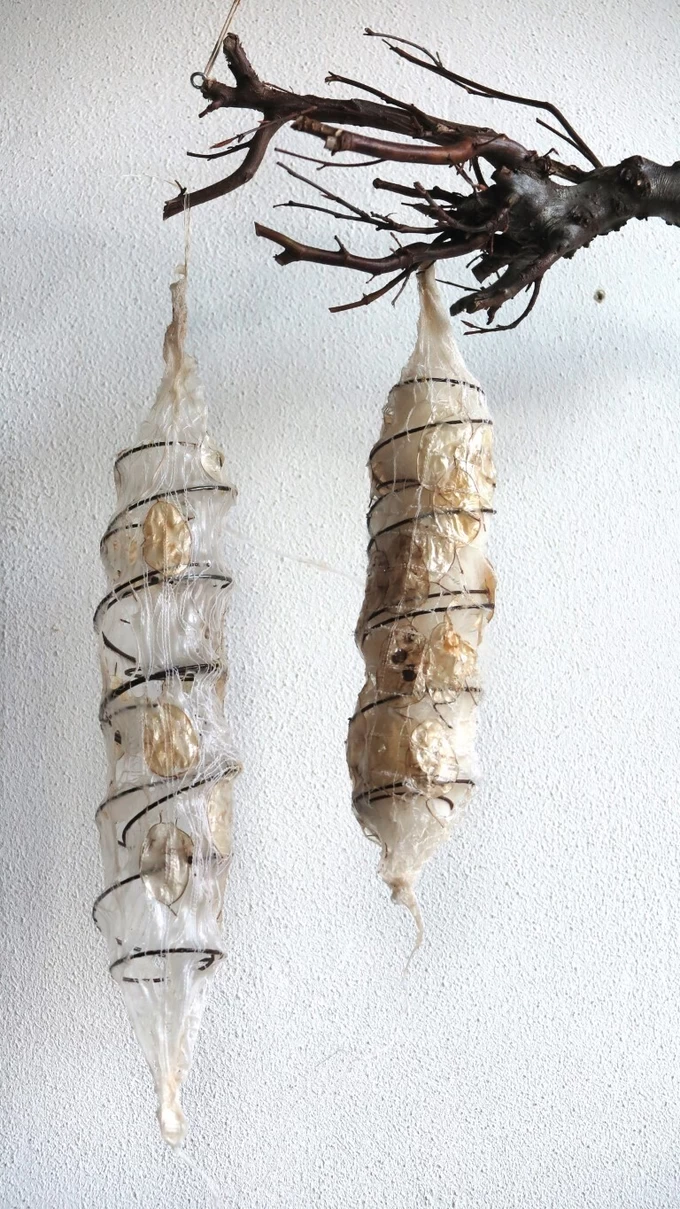 Martina Bakker-Schaafsma