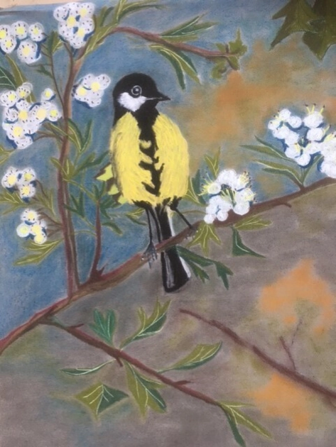 Patries Selhorst