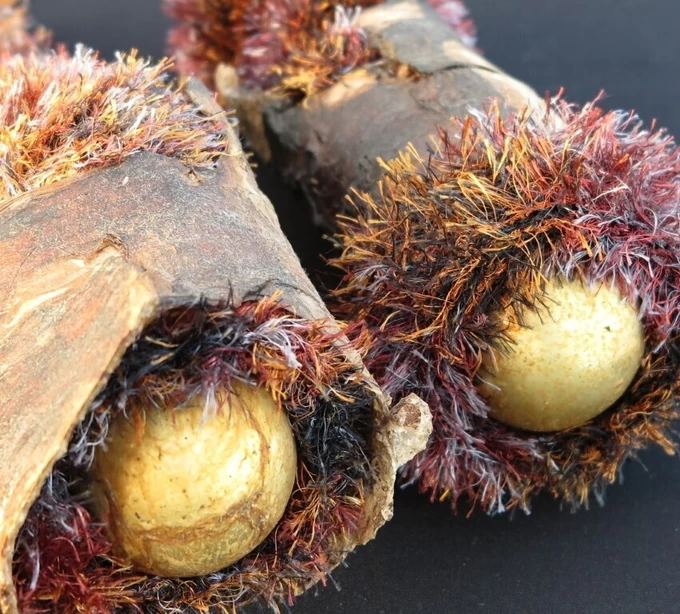 Martina Bakker-Schaafsma